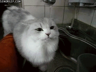 157621079318644.gif