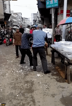 157621105454060.gif