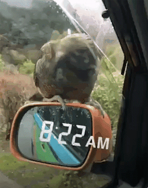 157642116261266.gif