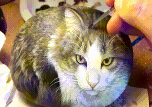 157642137564256.gif