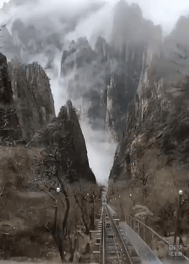 157674680038012.gif