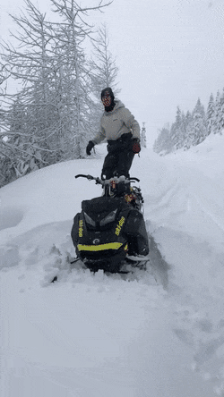 157701026485684.gif