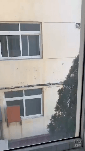 157728548114903.gif