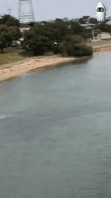 157728749172141.gif