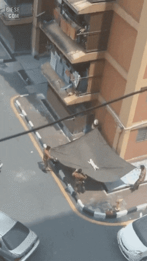 157736008594536.gif