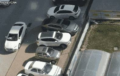 157736198565221.gif