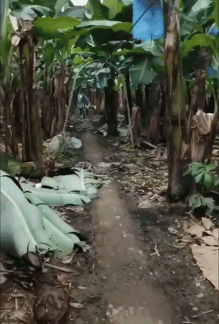 157736705891627.gif