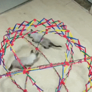 157738899685456.gif