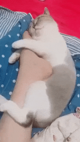 157762016831407.gif