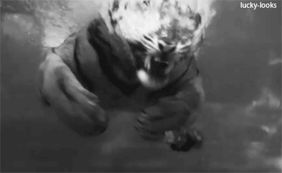 157768929763050.gif