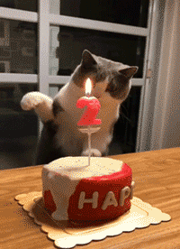 157768932774126.gif