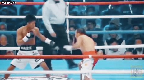 157768976725410.gif