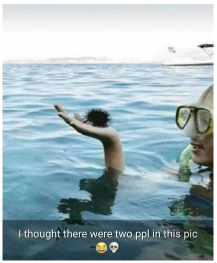 157769074874961.png