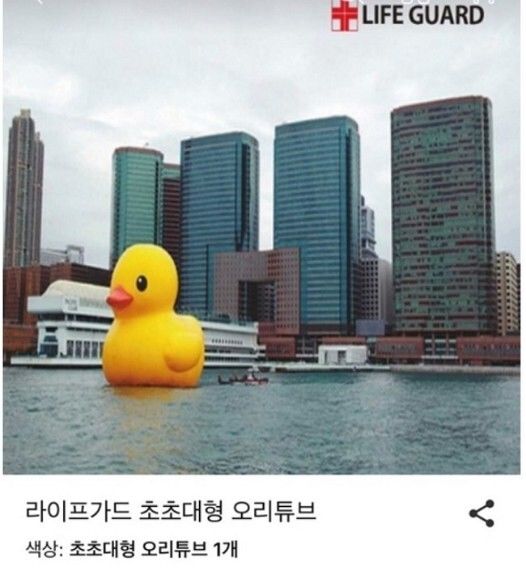 157770918189285.jpg