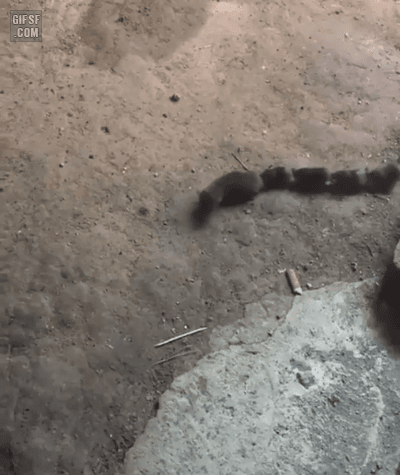 157770937733635.gif