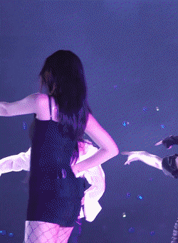 157787833664959.gif