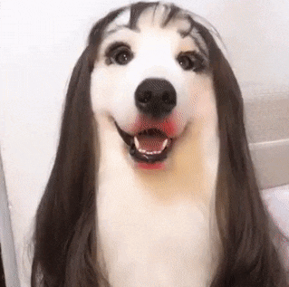 157787942089777.gif
