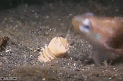 157796806861003.gif