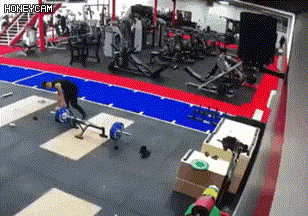 157796831653371.gif