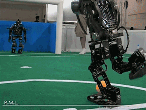 157797312247864.gif
