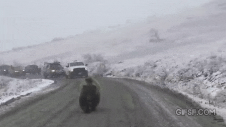 157797318534412.gif