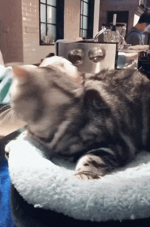 157823577433815.gif
