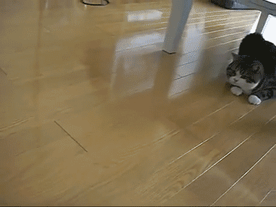 157823798645651.gif