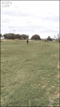 157831434996605.gif
