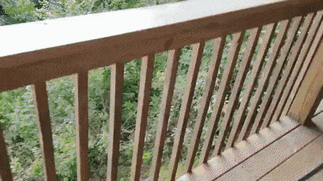 157848269719066.gif