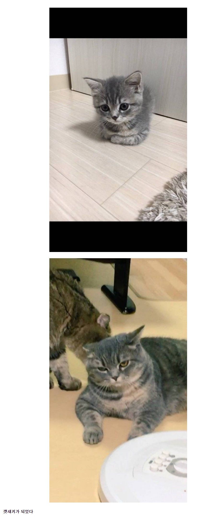 157848460358685.jpg