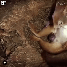 157856410223004.gif