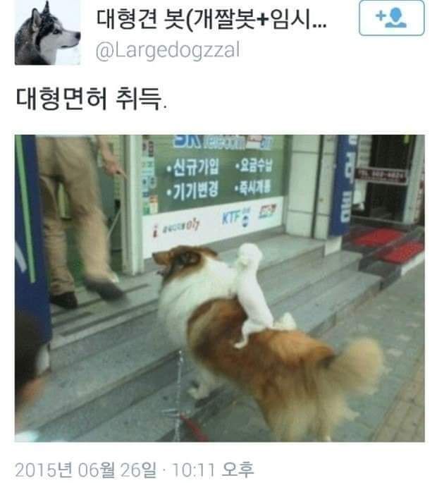157872342397435.jpg