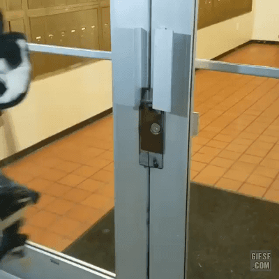 157873966378732.gif
