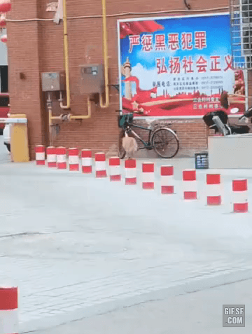 157873991386020.gif