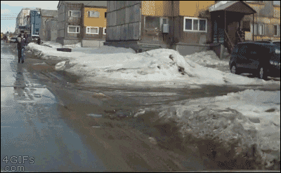 157874027398410.gif
