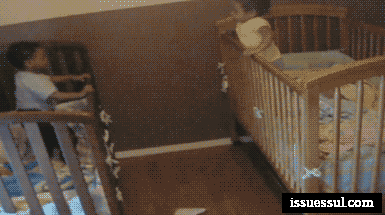 157874030271456.gif
