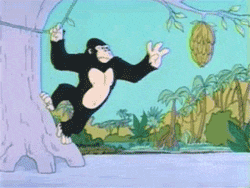 157875414536204.gif