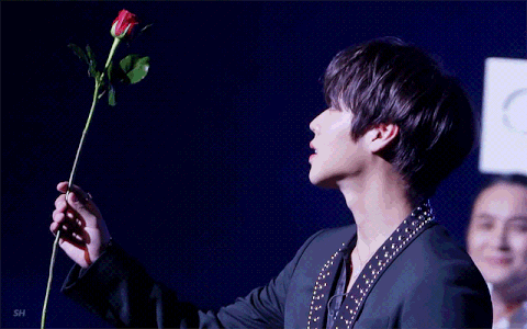 157875878916291.gif