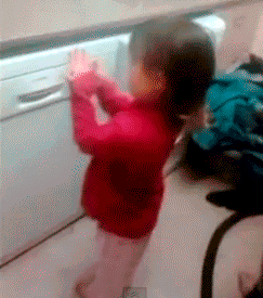 157876512631836.gif
