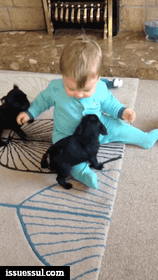 157884716172329.gif