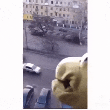 157887332481306.gif
