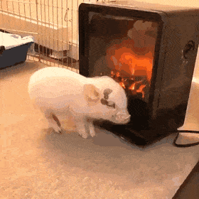 157895999879961.gif