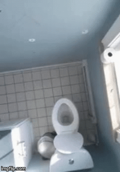 157900471835433.gif