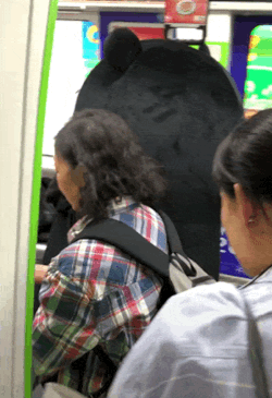 157900773767782.gif