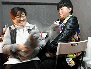 157908402849610.gif