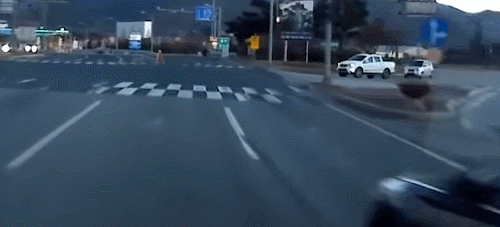 157926422984308.gif