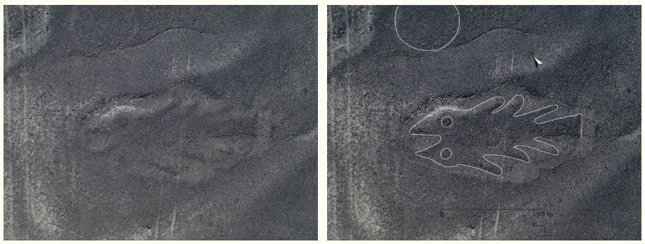 157931445131051.jpg