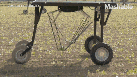 157931510373878.gif