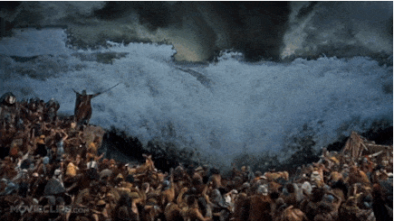 157934558849161.gif