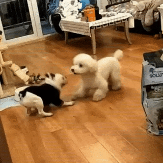 157934721171620.gif